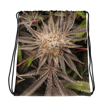 Sac à cordon