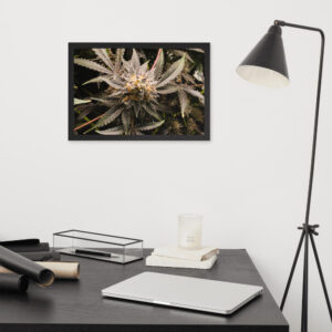 Affiche Papier Photo Encadrées