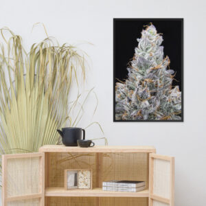 Affiche Papier Photo Encadrées Cresch zoom