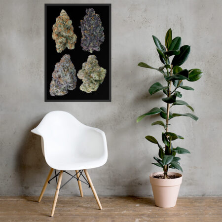 Affiche Papier Photo Encadrées 4 buds