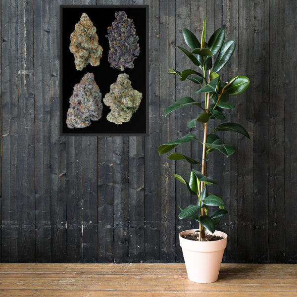 Affiche Papier Photo Encadrées 4 buds - Image 7