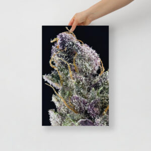 Affiche sur Papier Photo