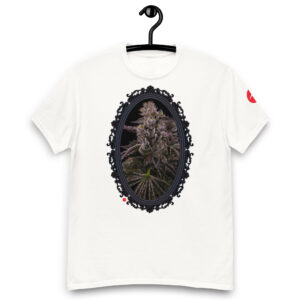 Cola Memo / Platinum